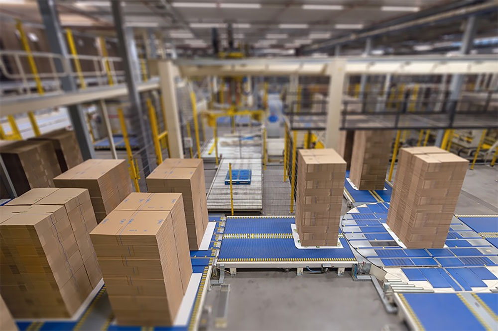 کارخانه کارتن سازی در تهران